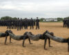 training program